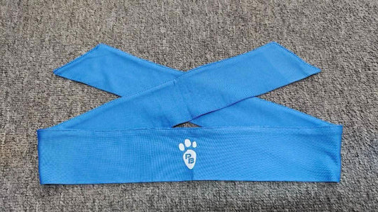 My store power paw headband